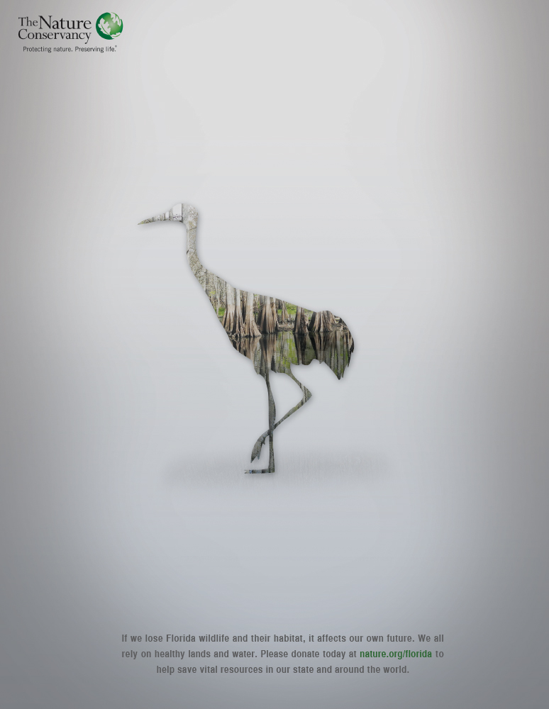 Nature Conservancy wildlife campaign