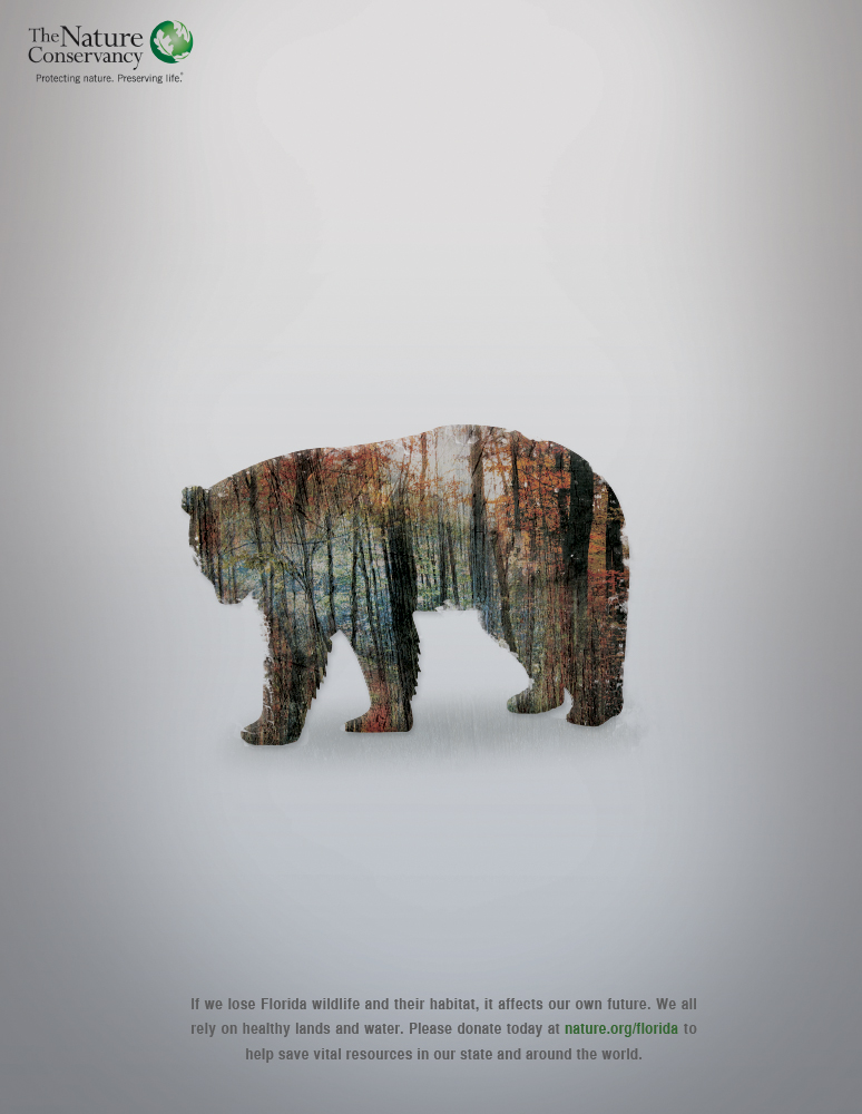 Nature Conservancy wildlife