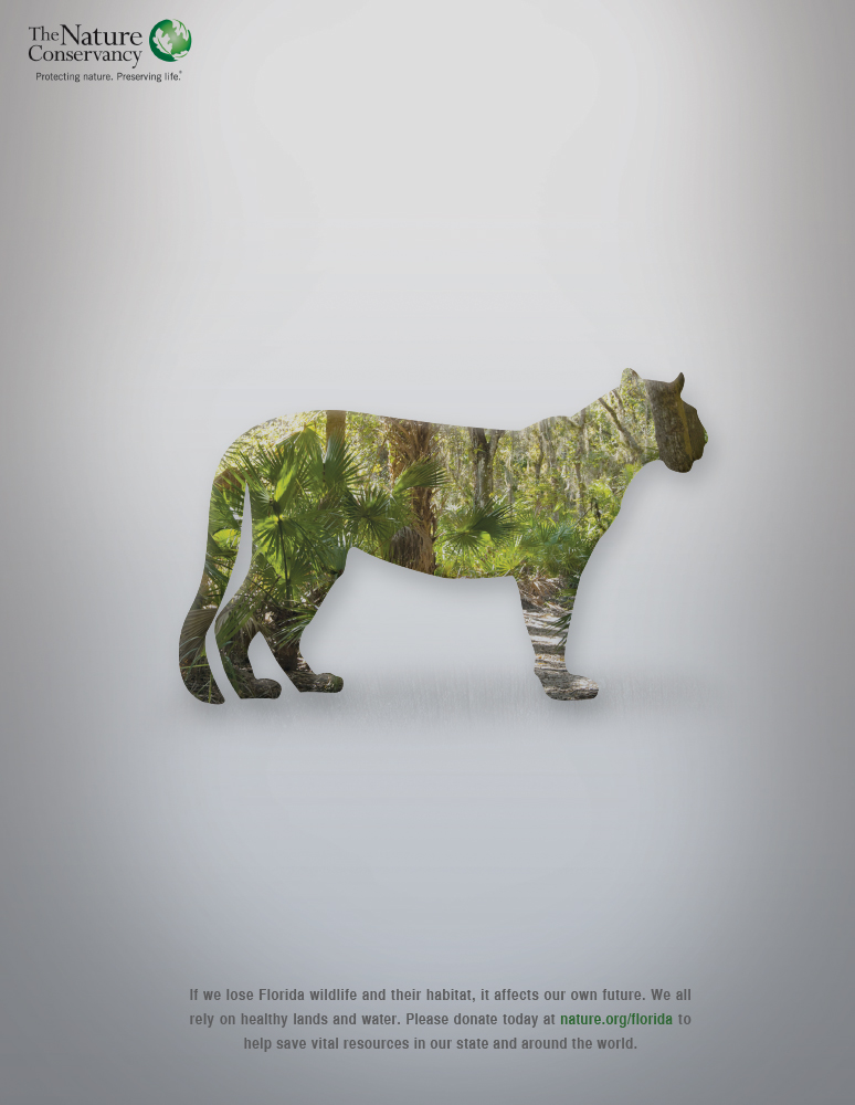 Nature Conservancy campaign
